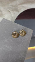 Shell Earring